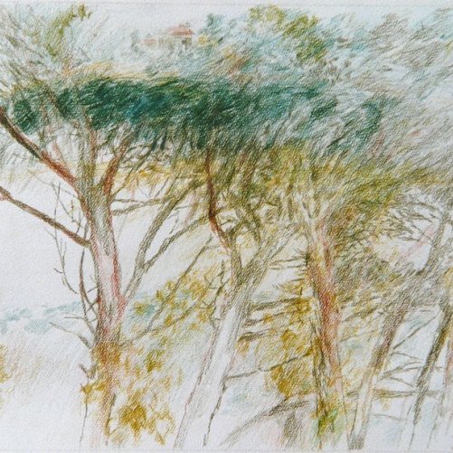 Provence