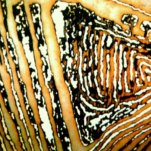 Brennglas-Landschaft